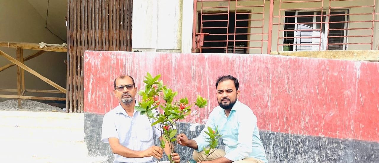 slide show and photo gallery (1)